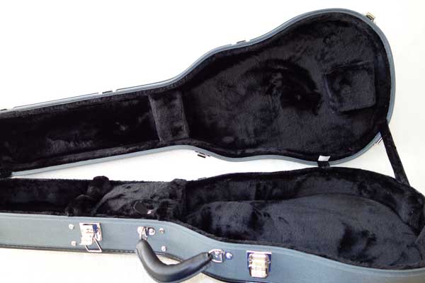 NEW Ameritage AME-S-40 Les Paul Case, Silver Series, Professional 6-Ply Hardshell Arched Case for Gibson Les Paul and Copies