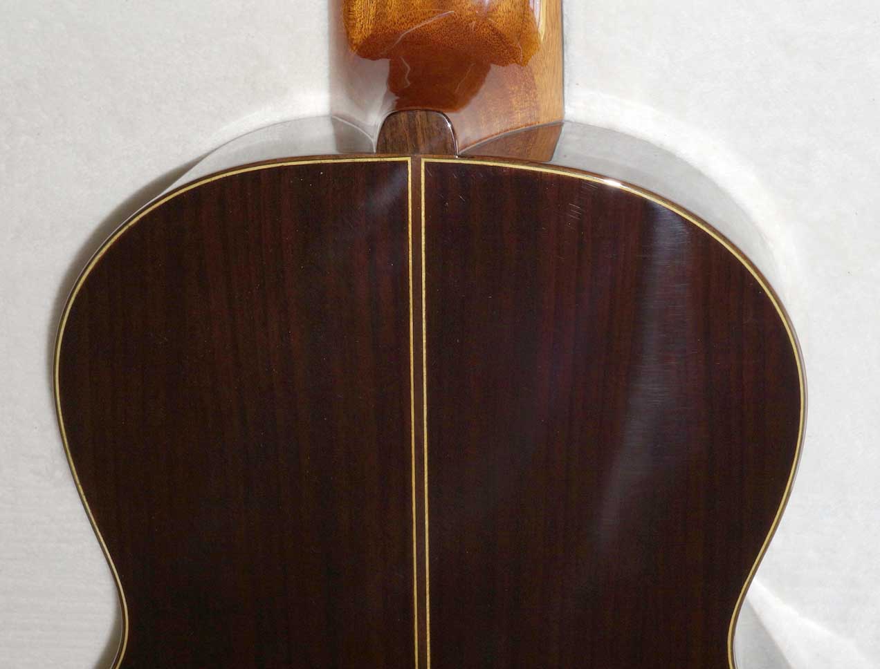 Bartolex SLS10 Classical 10-String Guitar w/Case, Spruce Top