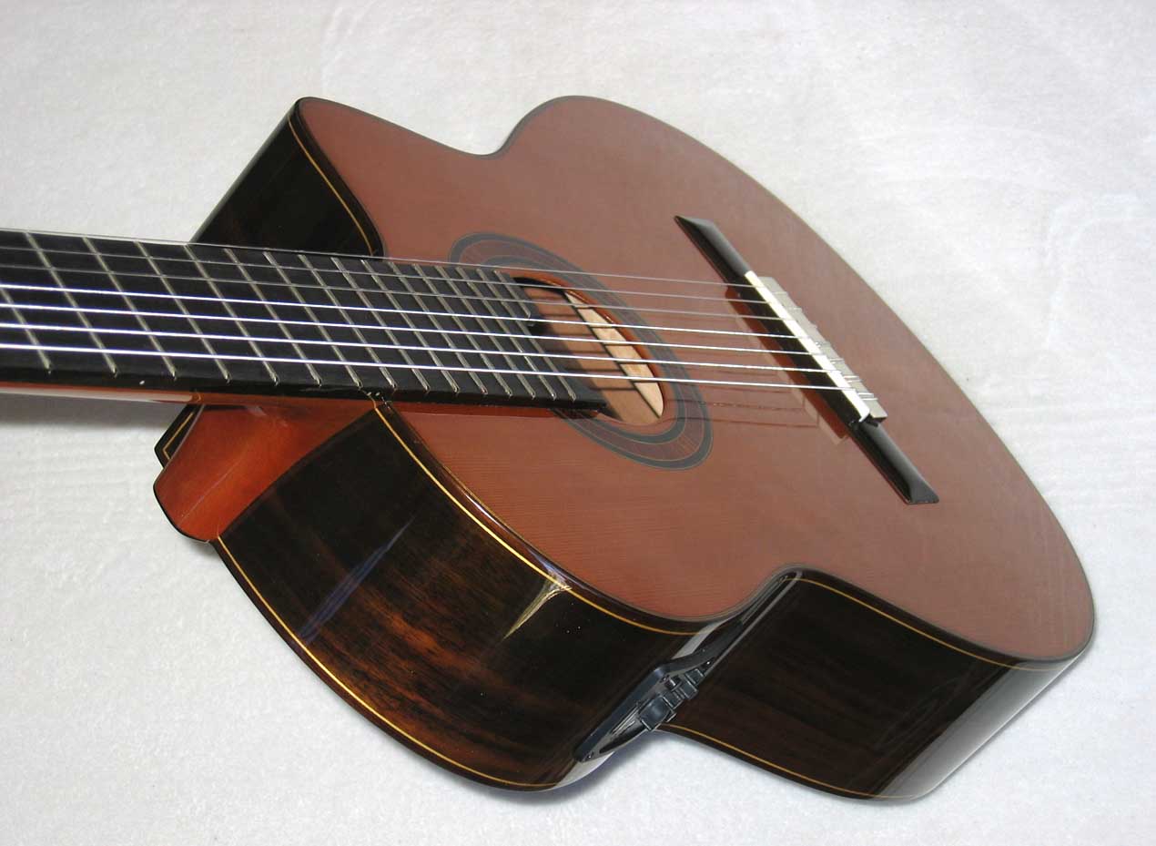 NEW Bartolex SRC7CEL 7-String Classical Harp Guitar w/ Fishman Presys Pickup, Cutaway