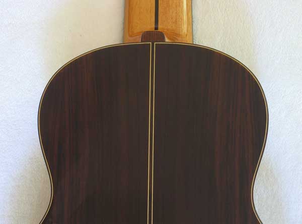 BARTOLEX SRS10 10-String Classical Harp Guitar, Spruce Top, w/ Hardshell  Case