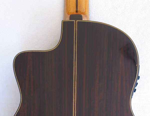 2010 Bartolex SRS7CEL 7-String Classical Harp Guitar Back