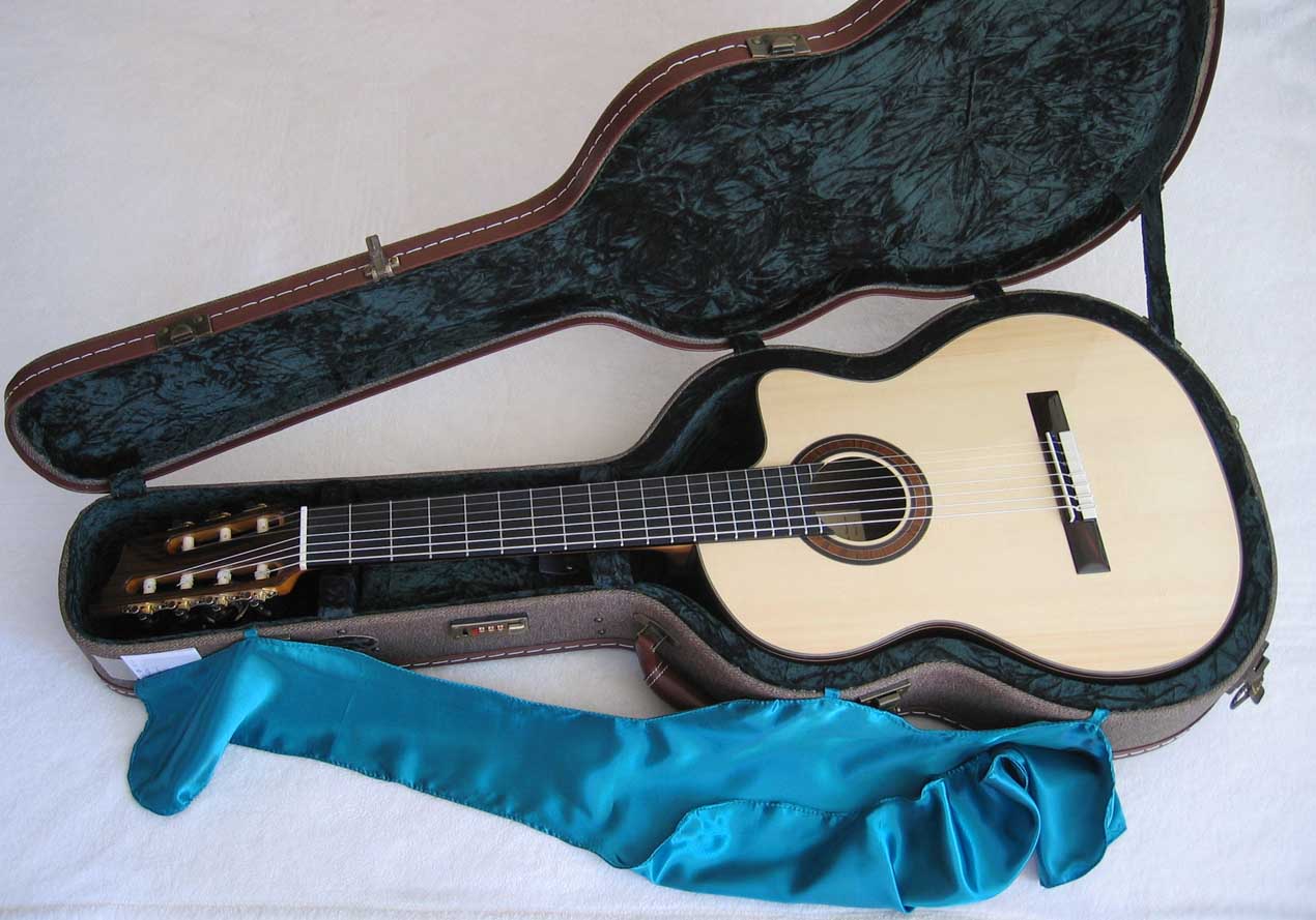 2010 Bartolex SRS7CEL 7-String Classical Harp Guitar Case