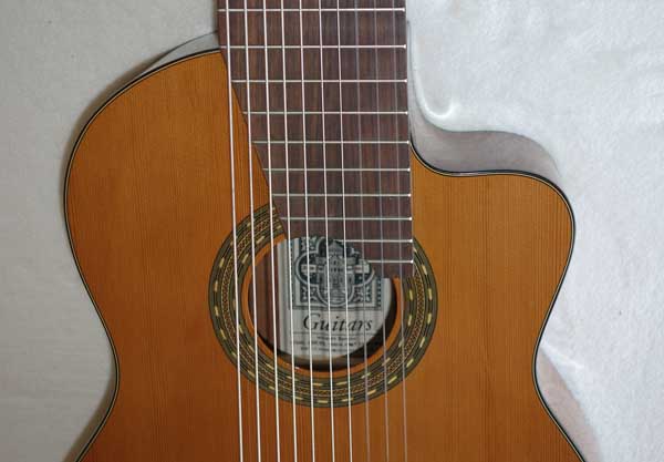 Cathedral Guitar 2015 Model 125CEL 10-String Classical Harp Guitar with Cutaway, Fishman Presys Pickup, Hardshell Case