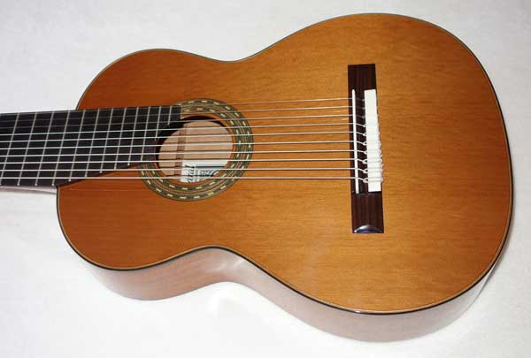NEW Cathedral Guitar Model 15 Ten-String Classical Harp Guitar w/Hardshell Case [Cedar/Mahogany] Decacorde 10-String