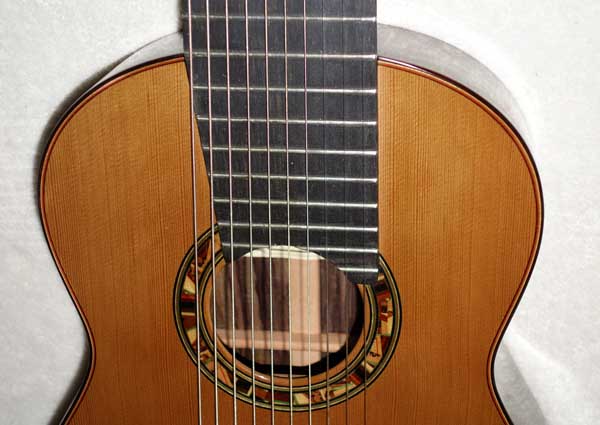 2012 Lucio Nunez 10-String Classical Harp Guitar, Rubner Tuners, Ameritage Case