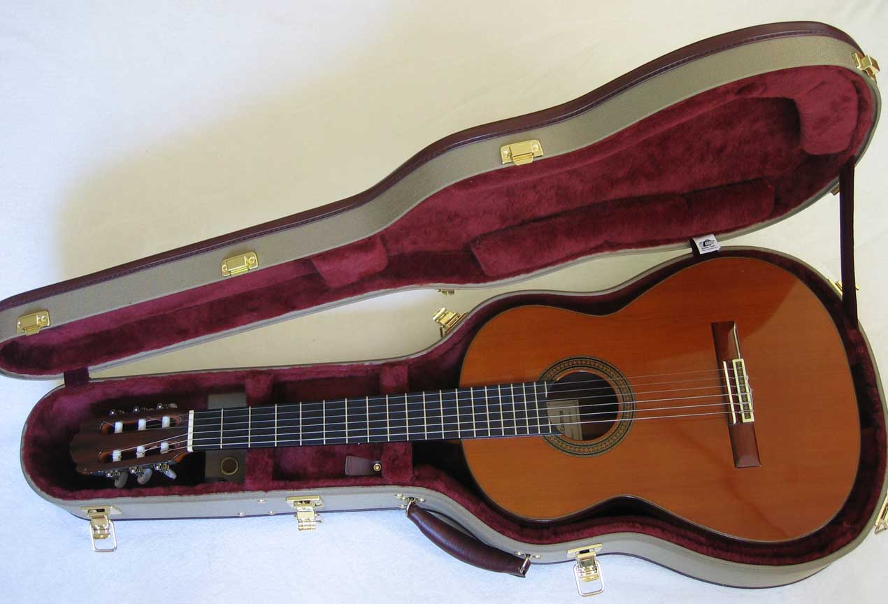 NEW -- AMERITAGE 6-String Classical Guitar Case for 6-String nylon-string guitarstring Classical Guitar Case  for 6-String nylon-string guitars