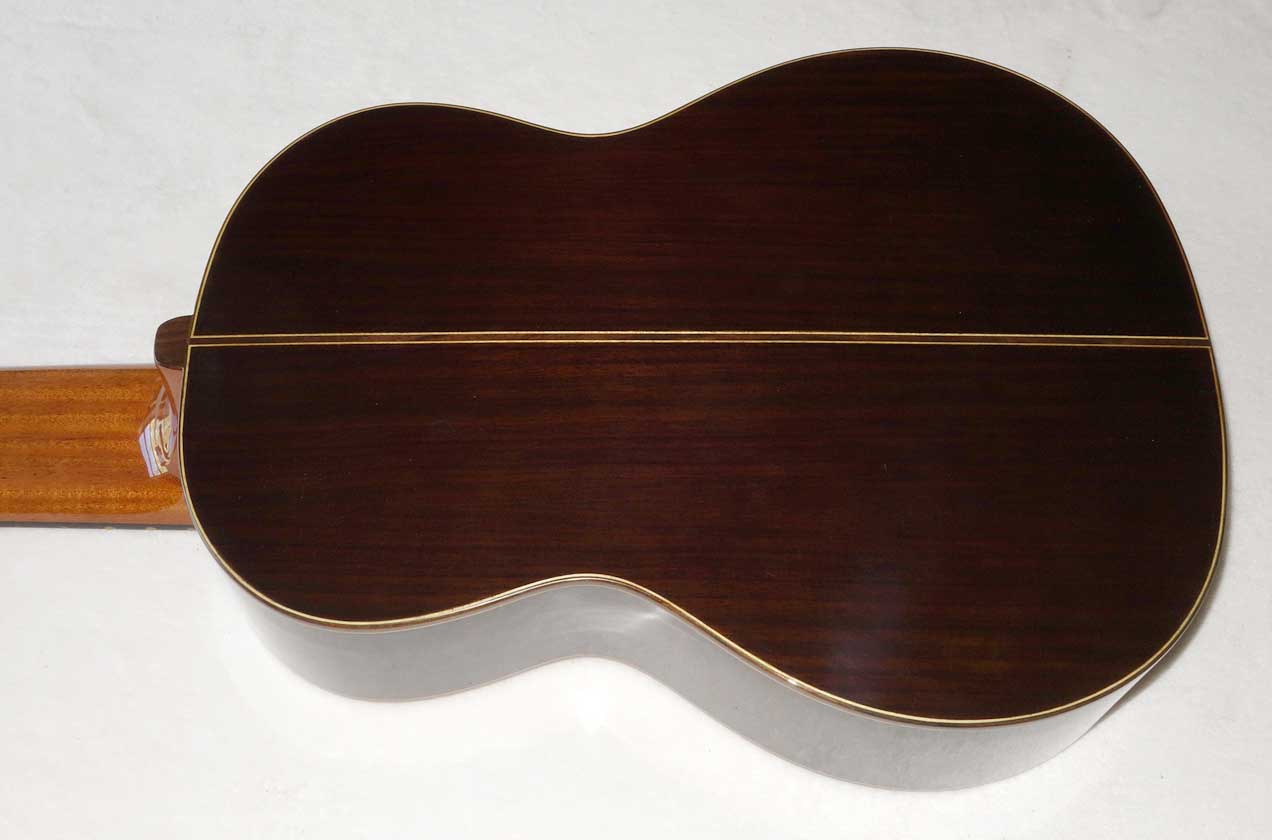 Bartolex SLS10 Classical 10-String Guitar w/Case, Spruce Top