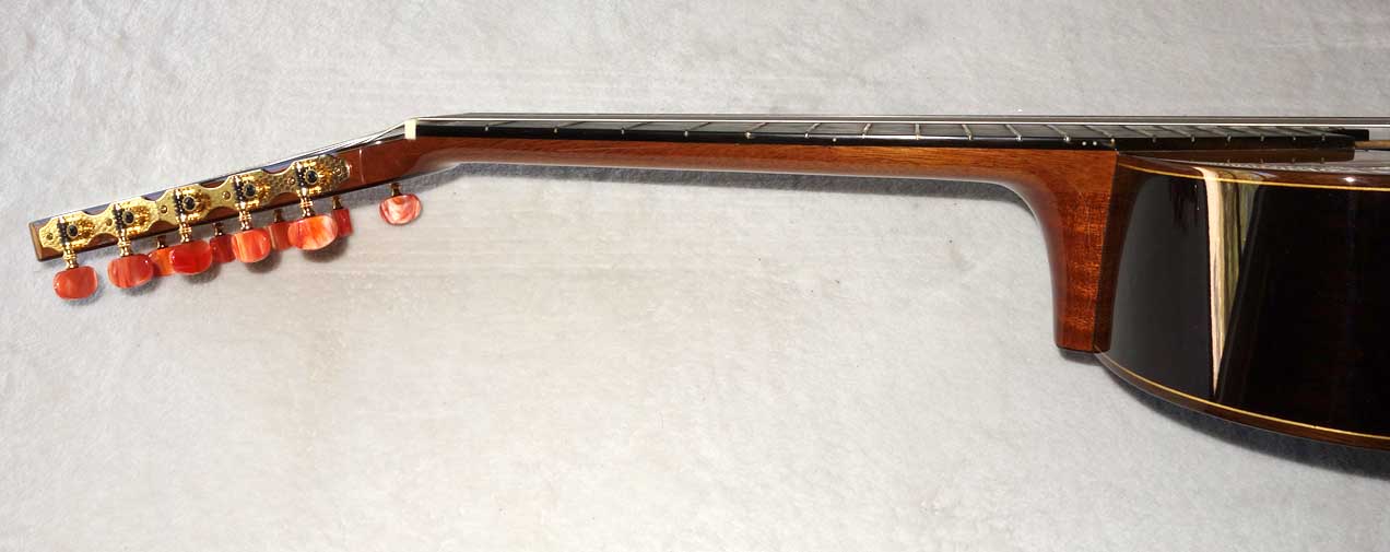Bartolex SLS10 Classical 10-String Guitar w/Case, Spruce Top