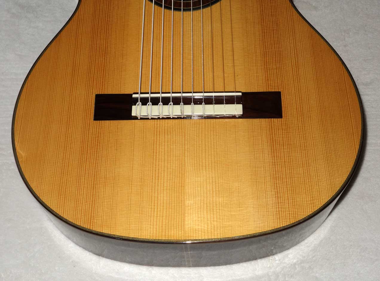 Bartolex SLS10 Classical 10-String Guitar w/Case, Spruce Top