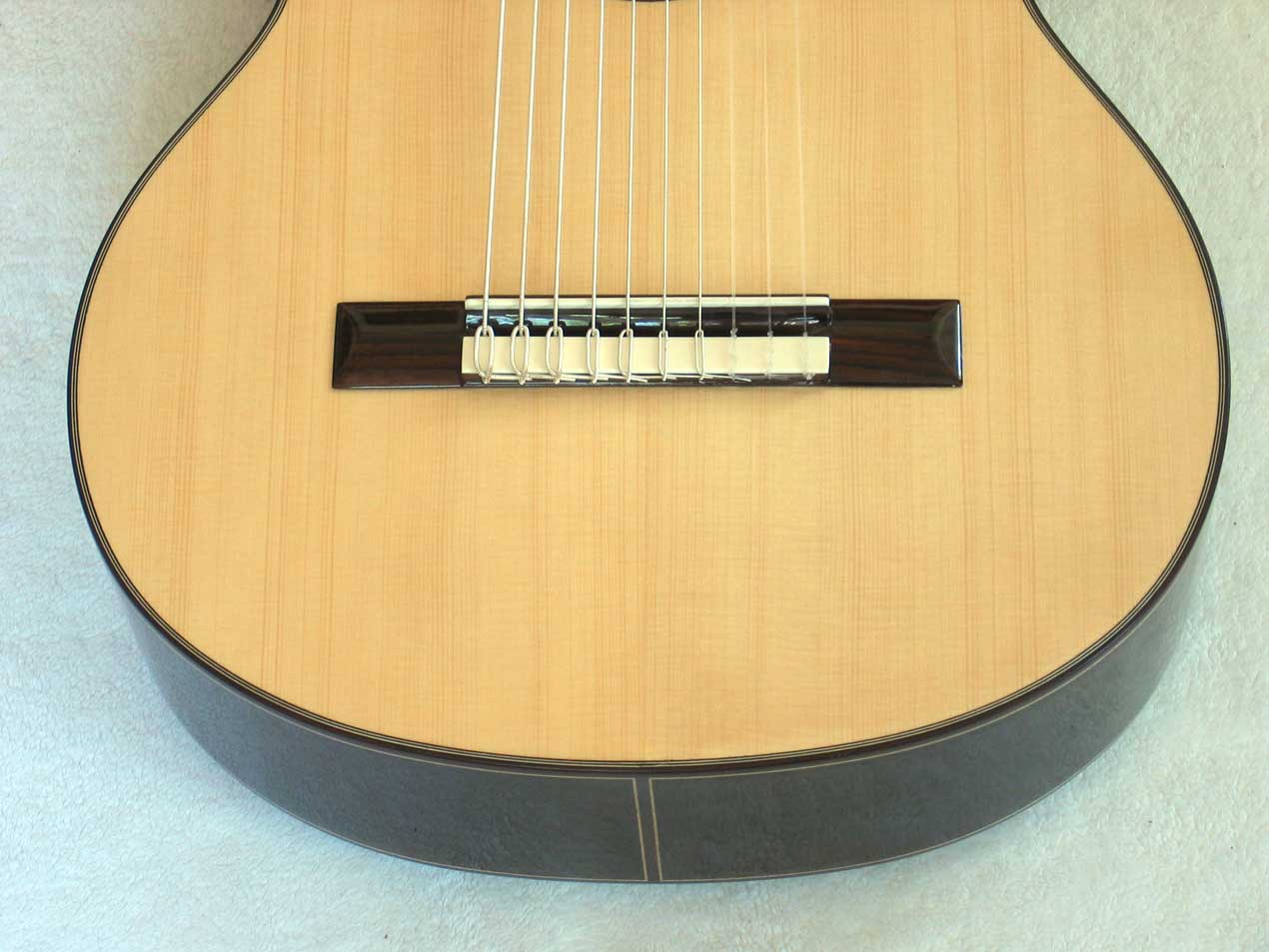 BARTOLEX SRS10 10-String Classical Harp Guitar, Spruce Top, w/ Hardshell  Case