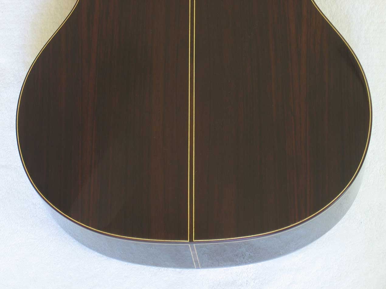 BARTOLEX SRS10 10-String Classical Harp Guitar, Spruce Top, w/ Hardshell  Case