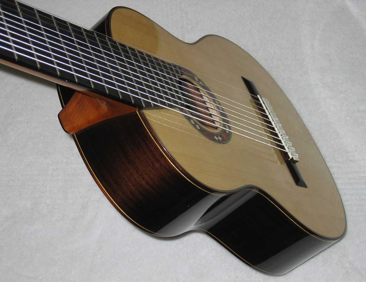 BARTOLEX SRS10 10-String Classical Harp Guitar, Spruce Top, w/ Hardshell  Case
