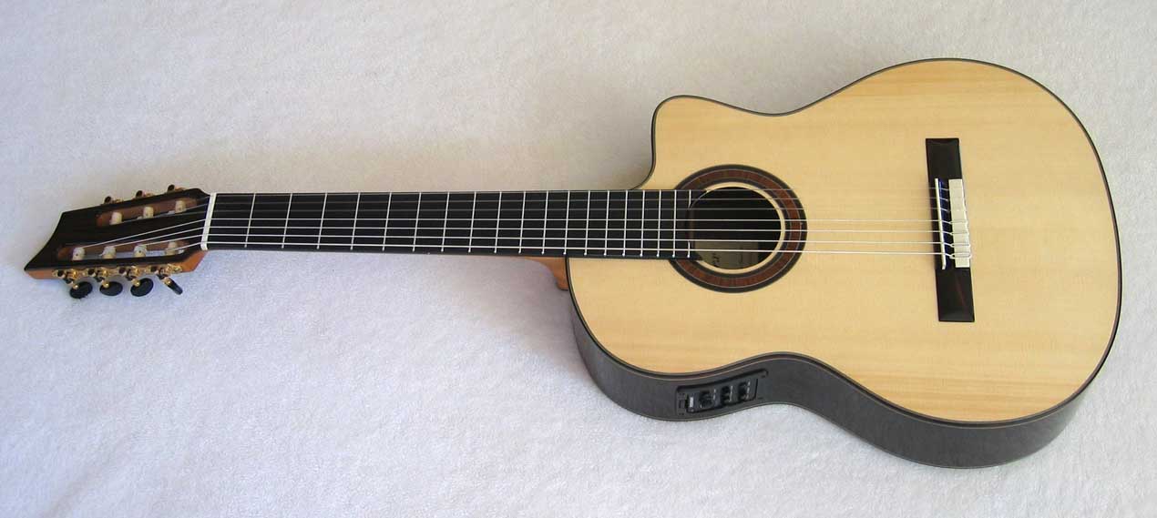 2010 Bartolex SRS7CEL 7-String Classical Harp Guitar
