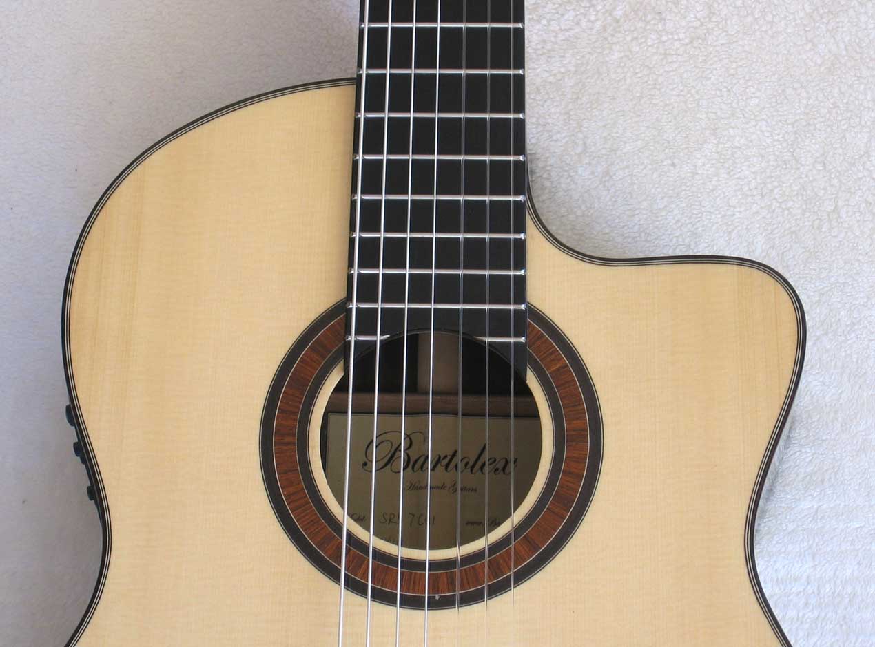 2010 Bartolex SRS7CEL 7-String Classical Harp Guitar