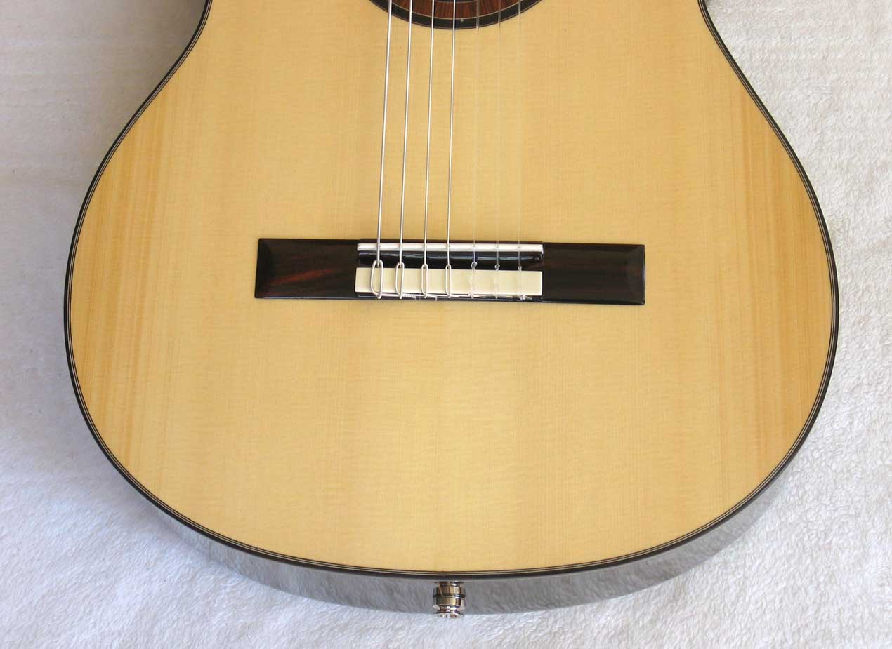 2010 Bartolex SRS7CEL 7-String Classical Harp Guitar