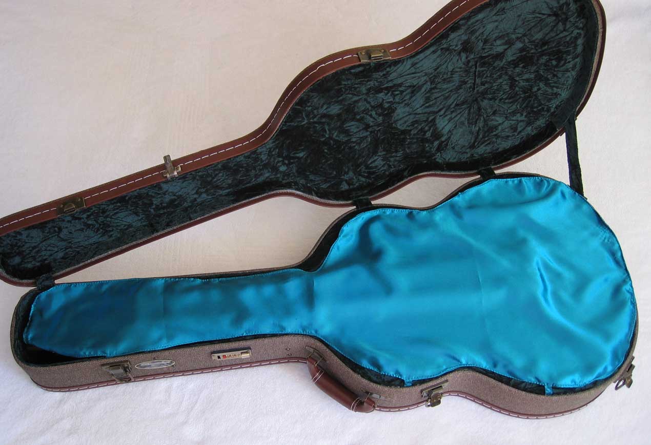 2010 Bartolex SRS7CEL 7-String Classical Harp Guitar Case