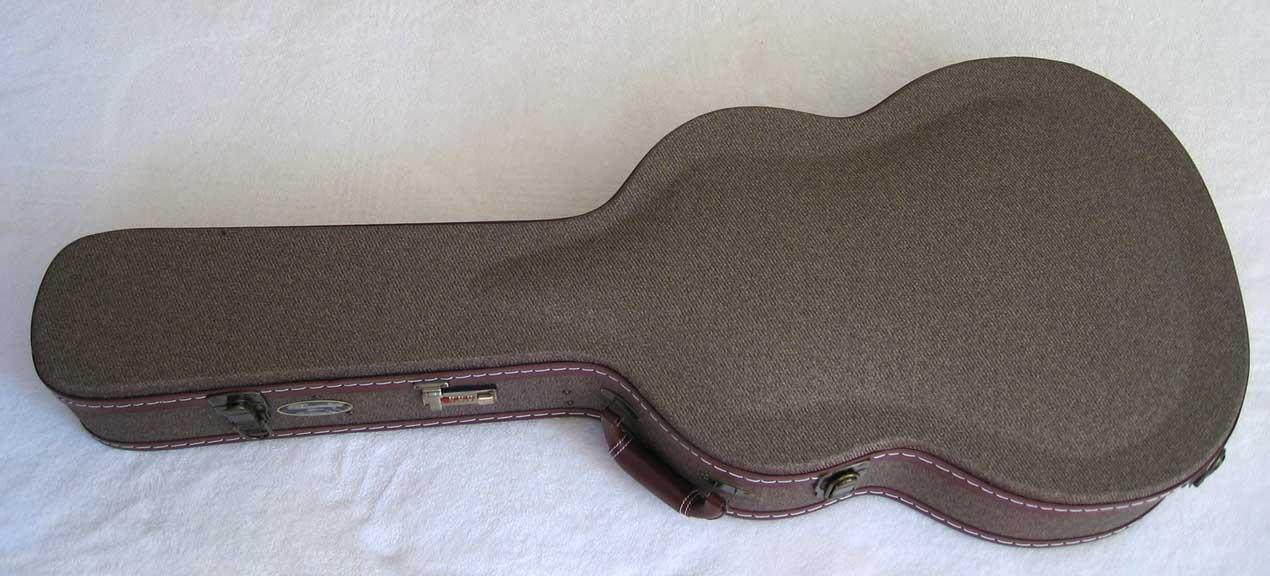 2010 Bartolex SRS7CEL 7-String Classical Harp Guitar Case