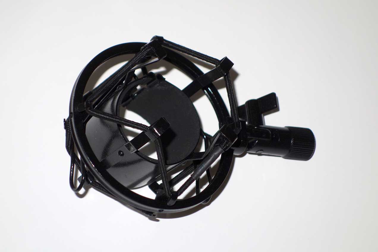 Blue Woodpecker Active Ribbon Mic, Figure 8 Pattern