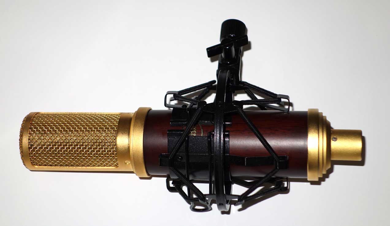 Blue Woodpecker Active Ribbon Mic, Figure 8 Pattern