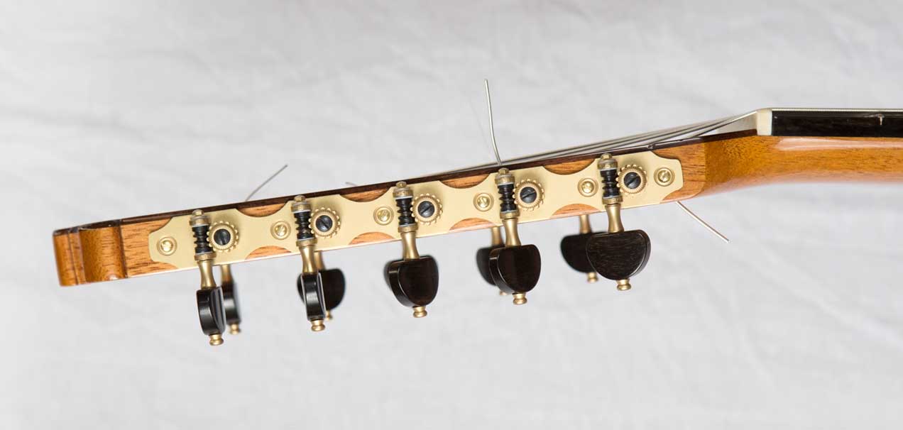 New Cathedral 40 Classical 10-String Harp Guitar in Cedar / Madagascar Rosewood, by Lucio Nunez