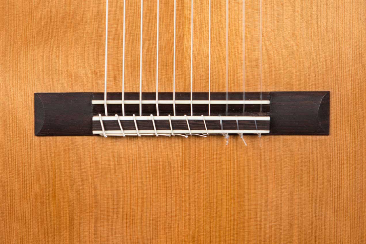 New Cathedral 40 Classical 10-String Harp Guitar in Cedar / Madagascar Rosewood, by Lucio Nunez