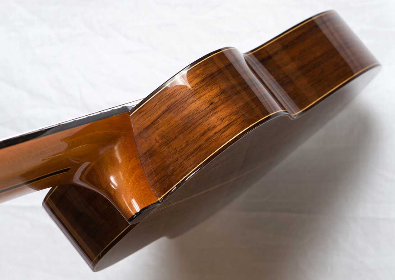 New Cathedral 40 Classical 10-String Harp Guitar in Cedar / Madagascar Rosewood, by Lucio Nunez