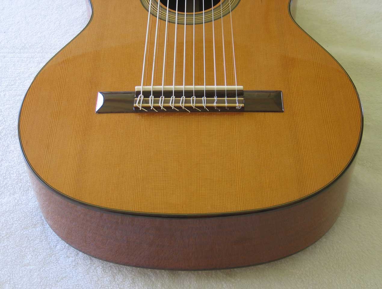 Cathedral Guitar Model 15 Cedar / Mahogany Classical 10-String Harp Guitar w/ Case
