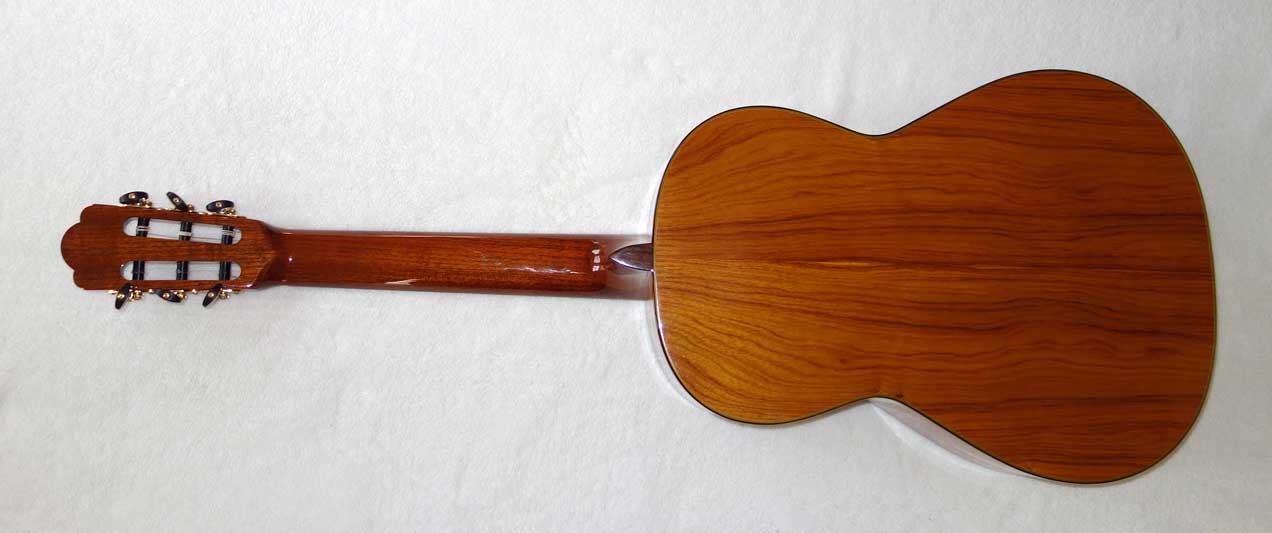 Cervantes Hauser PE Guitar [Cedar/Palo Escrito]