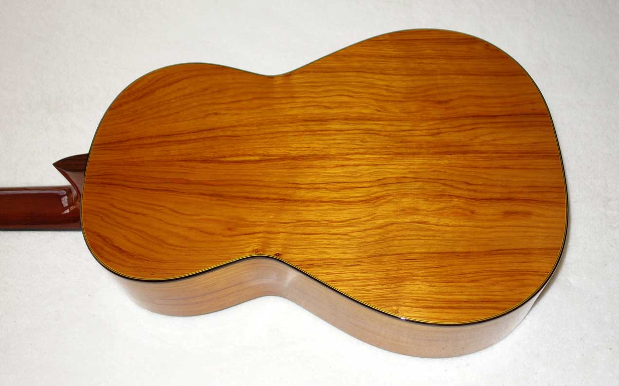 Cervantes Hauser PE Guitar [Cedar/Palo Escrito]