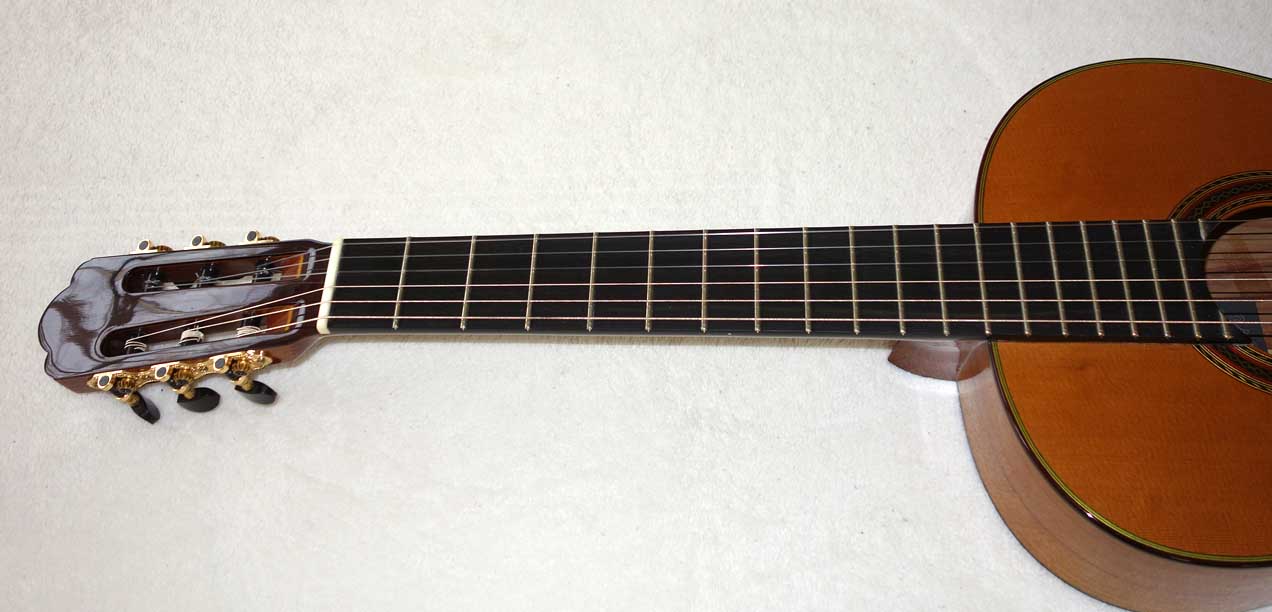 Cervantes Hauser PE Guitar [Cedar/Palo Escrito]