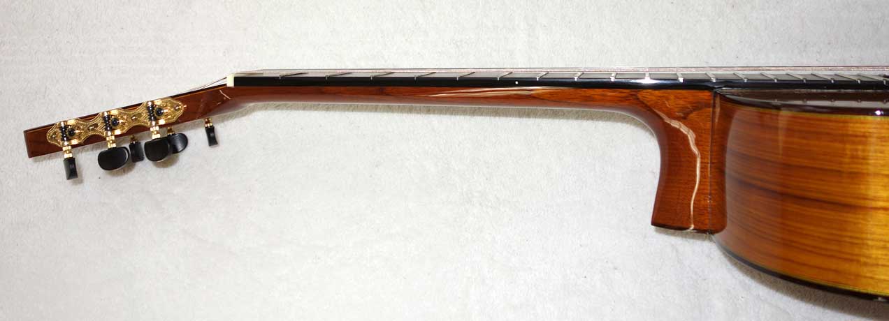 Cervantes Hauser PE Guitar [Cedar/Palo Escrito]