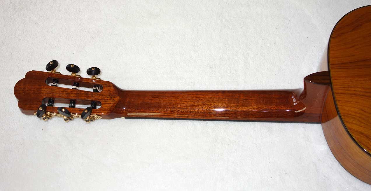 Cervantes Hauser PE Guitar [Cedar/Palo Escrito]