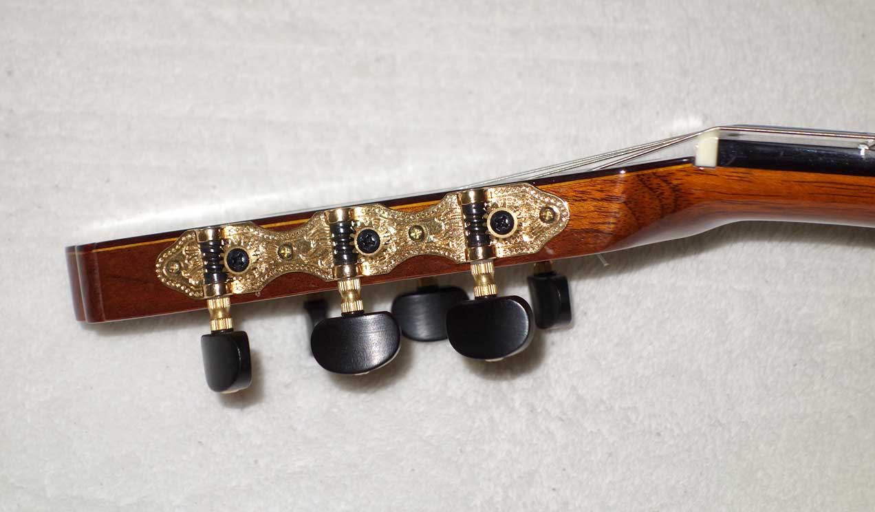 Cervantes Hauser PE Guitar [Cedar/Palo Escrito]