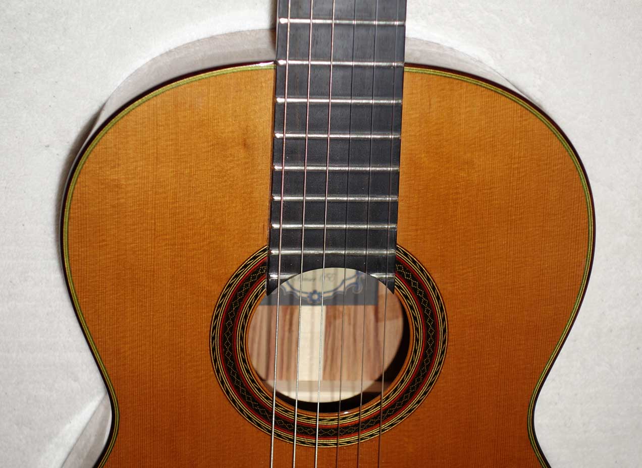 Cervantes Hauser PE Guitar [Cedar/Palo Escrito]