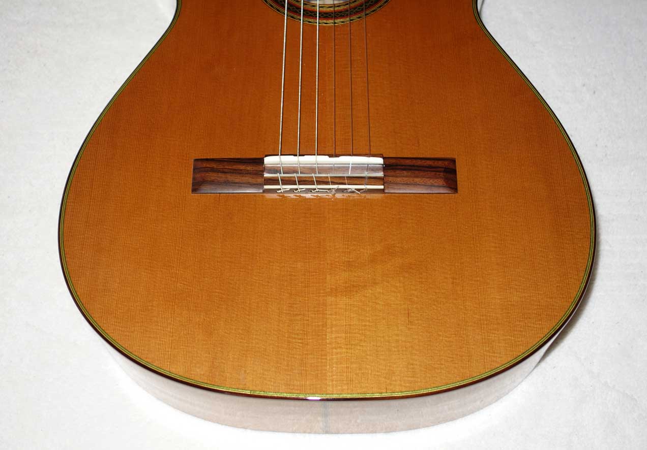 Cervantes Hauser PE Guitar [Cedar/Palo Escrito]