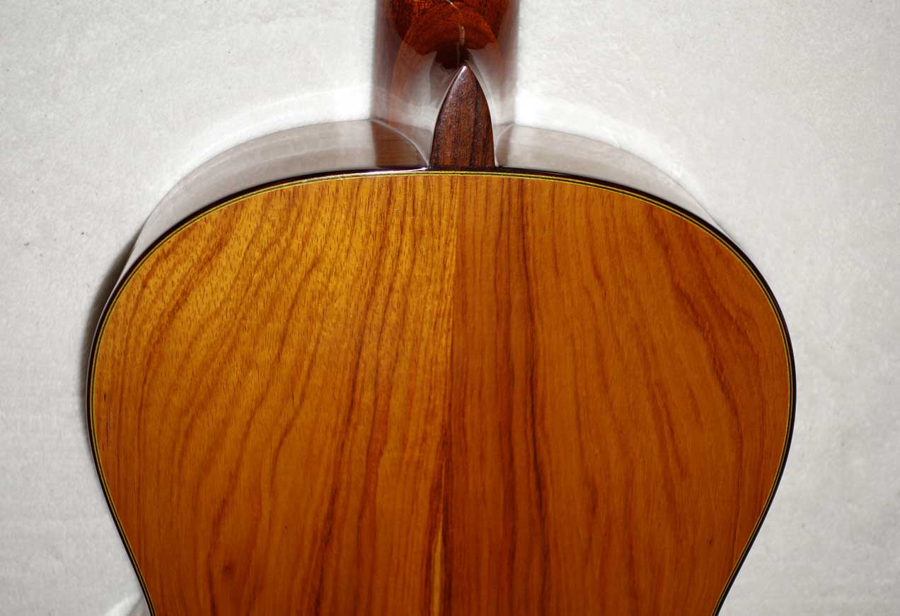 Cervantes Hauser PE Guitar [Cedar/Palo Escrito]