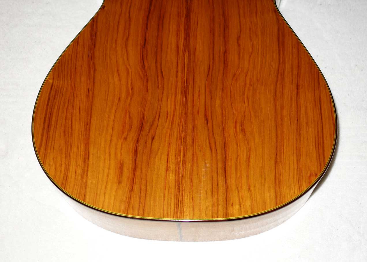 Cervantes Hauser PE Guitar [Cedar/Palo Escrito]