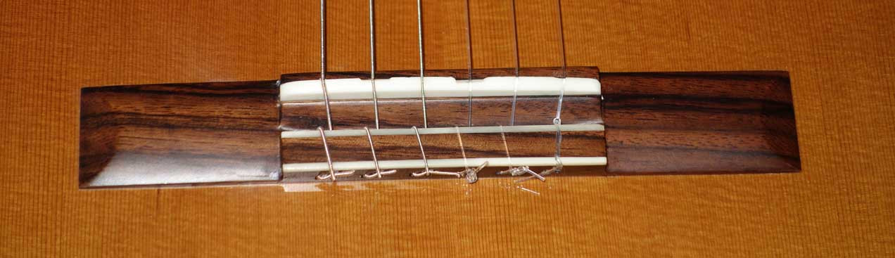 Cervantes Hauser PE Guitar [Cedar/Palo Escrito]