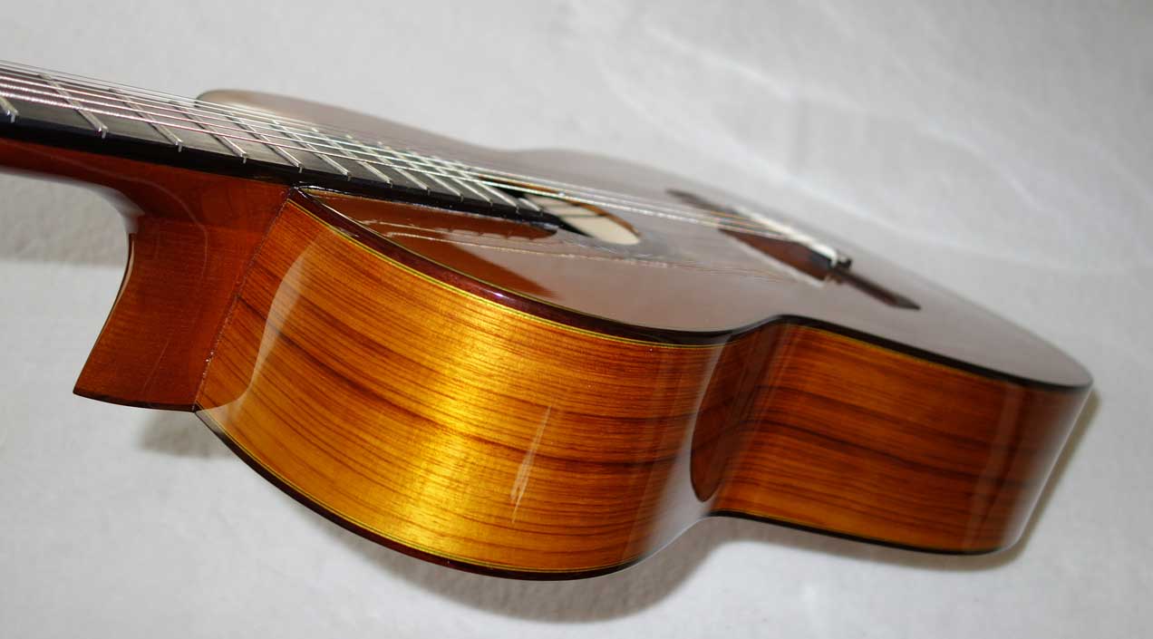 Cervantes Hauser PE Guitar [Cedar/Palo Escrito]