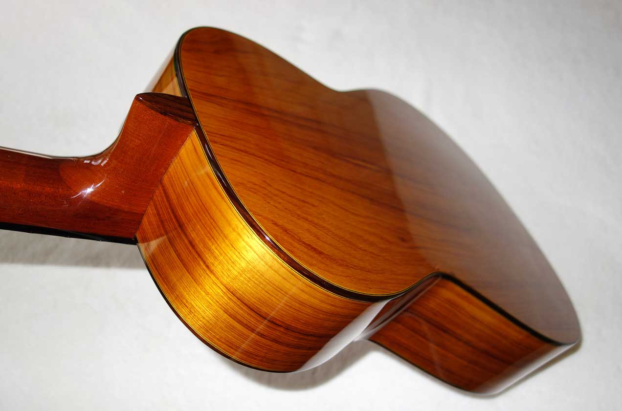 Cervantes Hauser PE Guitar [Cedar/Palo Escrito]