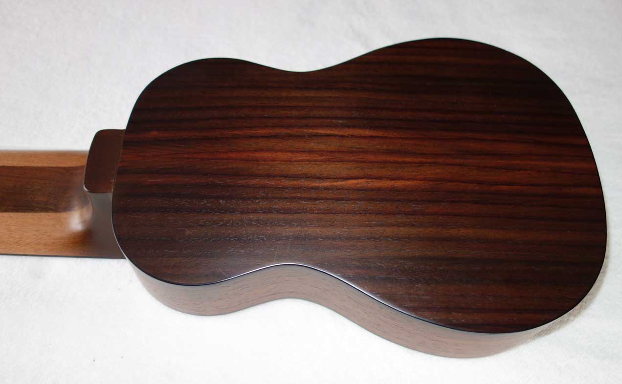 Cordoba Mini Travel Guitar -- 10-String Conversion by Scupltor / Musician Terry Schmitter