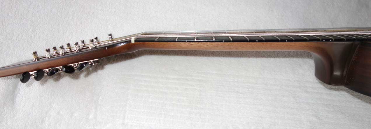 Cordoba Mini Travel Guitar -- 10-String Conversion by Scupltor / Musician Terry Schmitter