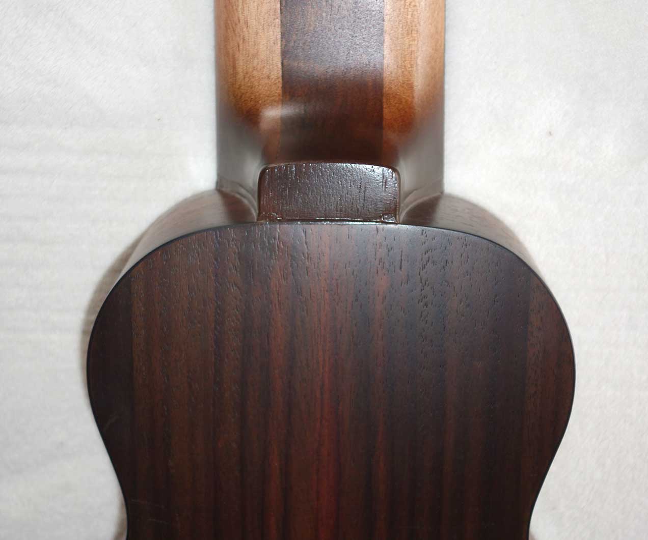 Cordoba Mini Travel Guitar -- 10-String Conversion by Scupltor / Musician Terry Schmitter