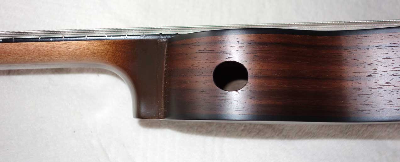 Cordoba Mini Travel Guitar -- 10-String Conversion by Scupltor / Musician Terry Schmitter