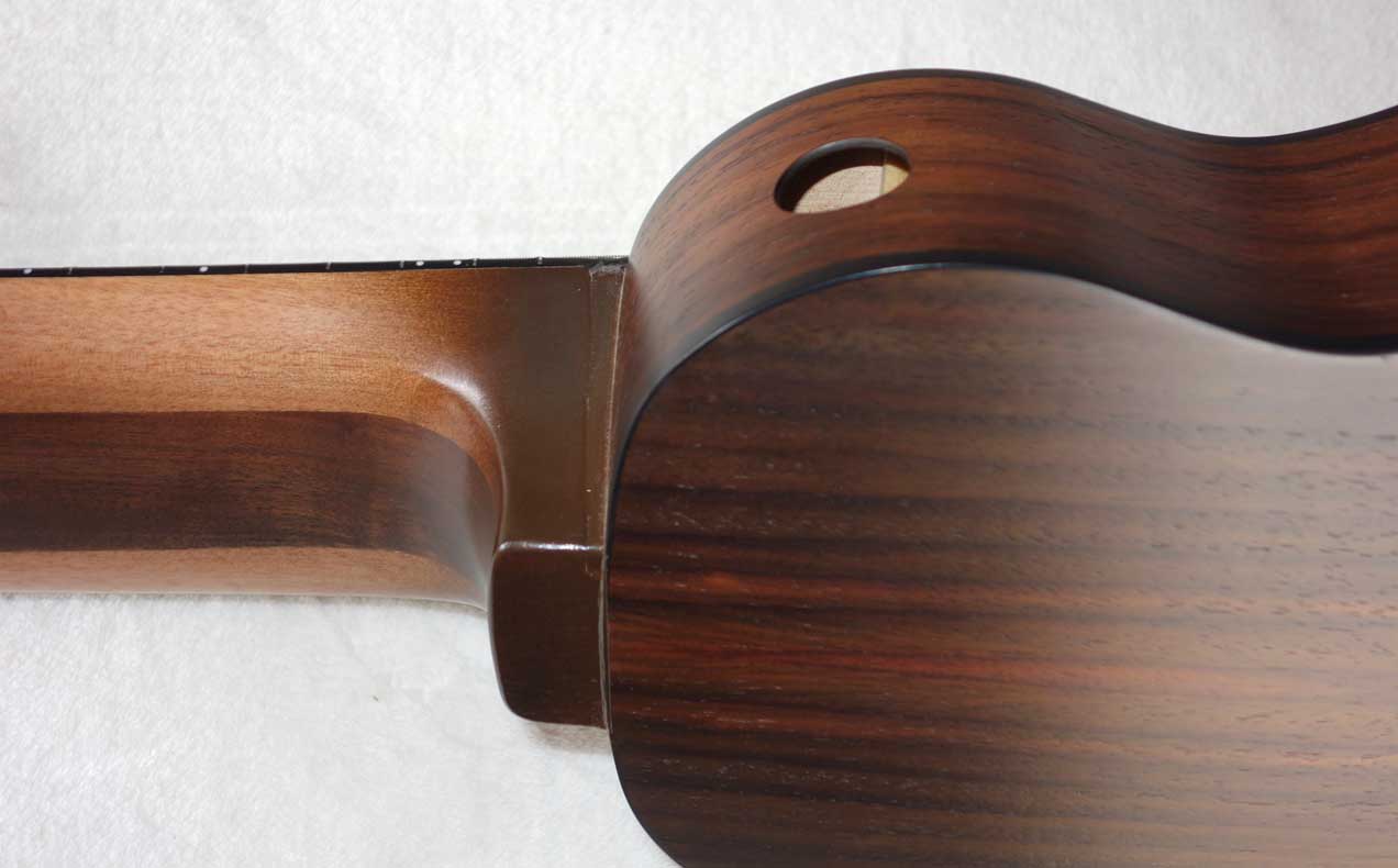 Cordoba Mini Travel Guitar -- 10-String Conversion by Scupltor / Musician Terry Schmitter