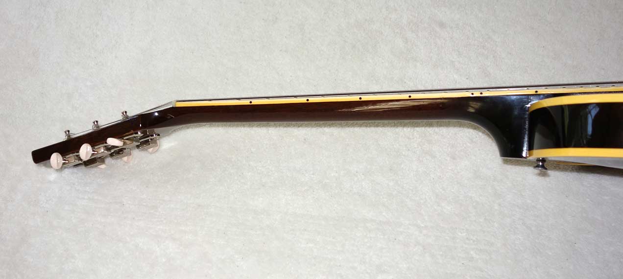 VINTAGE 1959 Gibson ES225 Guitar, w/3x Rio Grande Dawgbucker PUs, 6-Way Switch, Ameritage Case