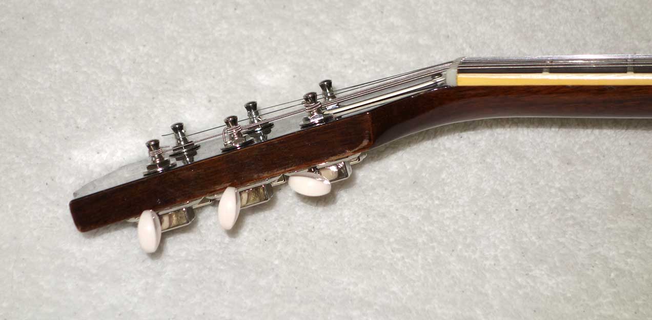 VINTAGE 1959 Gibson ES225 Guitar, w/3x Rio Grande Dawgbucker PUs, 6-Way Switch, Ameritage Case