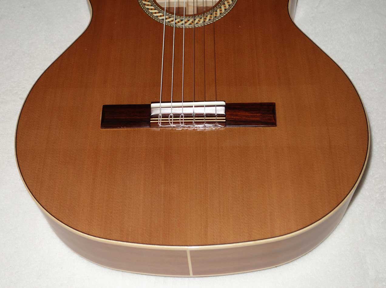 Kremona / Orpheus Valley SOFIA SC Classical Guitar, Cedar Top, Sapele Back/Sides, Bone Nut/Saddle!!!