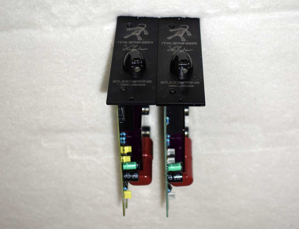 LEE JACKSON Mr. Springgy Spring Reverb 500-Series Module for API Racks [Custom Delay Times]