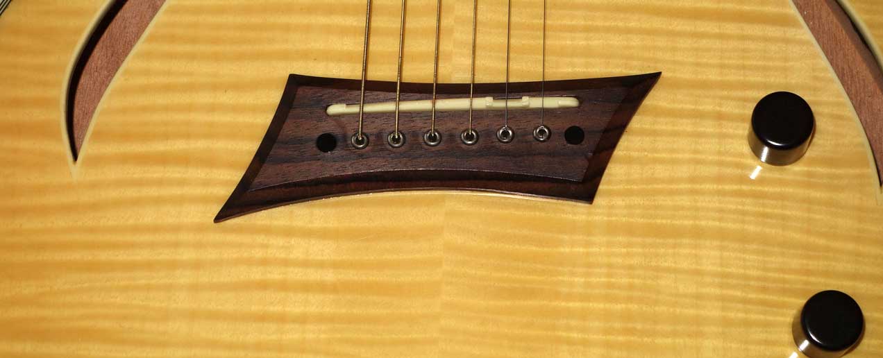Mychael Kelly Hybrid Electric Guitar w/Acoustic + Electric Pickups